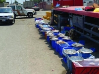 أمانة الشرقية: مصادرة أكثر من 9 أطنان خضار وفواكه وبضائع بالدمام
