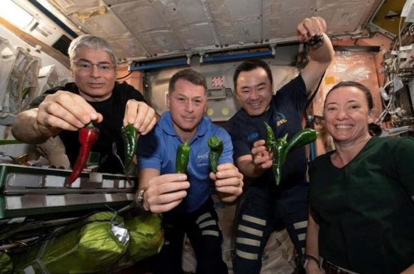 مسابقة لناسا.. إنتاج طعام رواد الفضاء من ثاني أكسيد الكربون