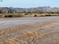 وزارة "المياه" تكشف حقيقة تضرر هيكل السد الترابي لوادي "سمرمداء"
