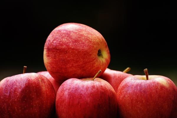 نتيجة مذهلة.. ماذا يحدث لعقلك إذا تناولت التفاح يوميا؟