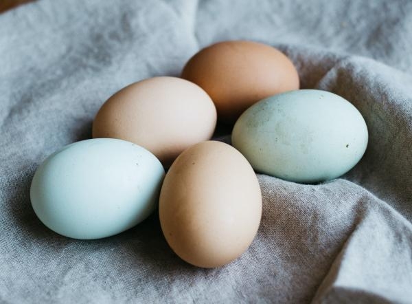 يحتوي البيض على فيتامين أ الذي يحافظ على صحة الجلد وبطانة بعض أجزاء الجسم مثل الأنف - مشاع إبداعي
