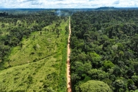 الحكومة البرازيلية تتعهد بوقف إزالة الغابات في منطقة الأمازون بحلول عام 2030 - رويترز