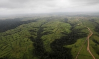 تراجع معدل إزالة غابات الأمازون بالبرازيل خلال الشهر الماضي