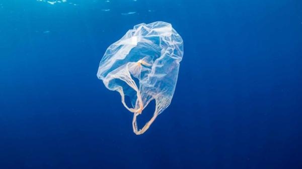 النفايات البلاستيكية المسبب الرئيسي لتلوث المحيطات - موقع deutschland.de