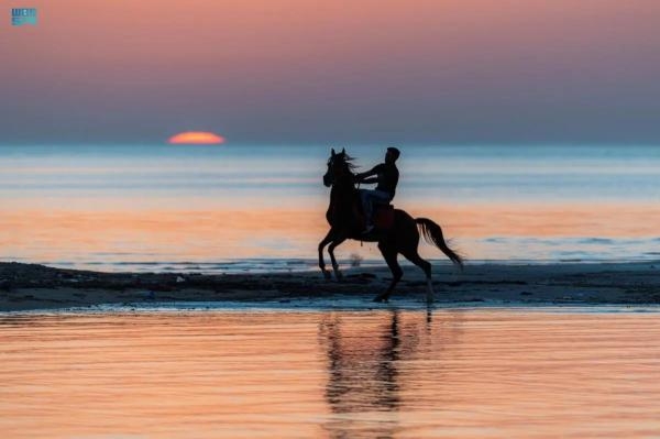 الشباب يستمتعون مع الخيول مشهد جمالي بشاطئ الدقم - واس 