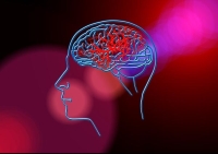 دراسة: مخ الإنسان يسترجع الذكريات القديمة عند خوض تجارب جديدة