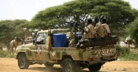 إدانات مباشرة لقوات الدعم السريع بشأن الفظائع التي ارتكبت في ولاية غرب دارفور - Africa news