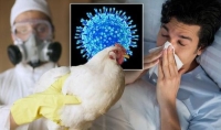  فيروسات إنفلونزا الطيور يمكن أن تتطور للهروب من نشاط الجينات - موقع daily express