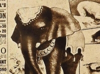 الأسطورة المحلية تقول إن الفيل دُفن في كينجسوود عام1891 - موقع The Guardian