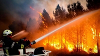 الحرارة العالية وحرائق الغابات تشكل تهديداً بالغاً على الاقتصادين الأمريكي والأوروبي