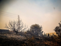 الحرائق التهمت ثلاثة آلاف دونم من المساحات الطبيعية - أرشيفية رويترز
