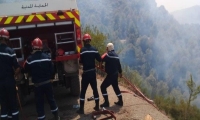 اندلاع حرائق الغابات في الجمهورية الجزائرية الديمقراطية الشعبية - وكالة الأنباء الجزائرية