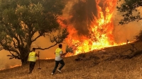السيطرة على 13 بؤرة حريق في 7 ولايات جزائرية - موقع BBC News