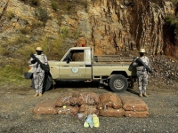 قوات حرس الحدود أحبطت محاولات تهريب 49.2 طنا من نبات القات المخدر