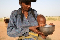 3 ملايين شخص يعانون انعدام الأمن الغذائي في النيجر - موقع the New Humanitarian
