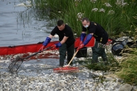 تسببت الطحالب في نفوق جماعي للأسماك ببولندا- رويترز