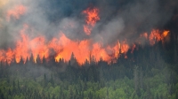فيسبوك منع نشر أخبار حرائق الغابات في كندا - رويترز