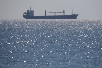 إحدى السفن تحمل شحنة حبوب قبالة ميناء أوديسا بالبحر الأسود - رويترز