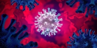 السلالة (بي.إيه.2.86) شديدة التحور من فيروس أوميكرون - موقع daily maverick