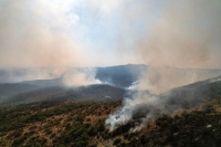  أكبر حريق غابات في تاريخ الاتحاد الأوروبي - رويترز 