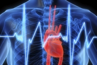 أسباب أمراض القلب والشرايين - مشاع إبداعي