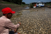 الأسماك الميتة في بحيرة بيرانها بمنطقة الأمازون في البرازيل- رويترز