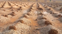 "أمانة الرياض" تبدأ تنفيذ برنامج تطوير المقابر