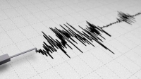 مرصد الزلازل الأردني يسجل زلزال بقوة 3.1 درجات على مقياس ريختر- مشاع إبداعي