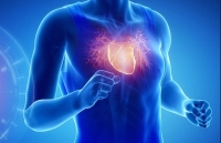 تقوي عضلة القلب عبر الأطعمة والفواكه - مشاع إبداعي