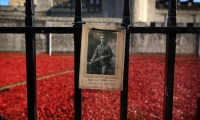 ذكرى قتلى الحرب العالمية الأولى في بريطانيا - موقع University of Rochester 