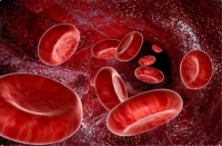 أمراض الدم الوراثية - مشاع إبداعي