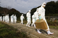 اليابان تعدم 40 ألف طائر بعد رصد حالة إنفلونزا طيور شديدة العدوى- رويترز