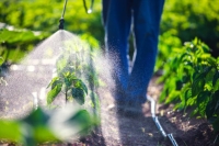 "البيئة" تحدد 9 شروط لترخيص محلات المبيدات والأسمدة والبذور