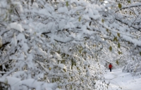 تساقط كثيف للثلوج في دول أوروبا- رويترز