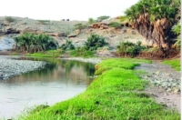 وادي بيض بمحافظة الدرب .. واجهة سياحية جذابة