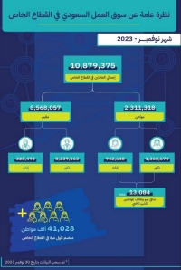 نظرة عامة عن سوق العمل السعودي في القطاع الخاص