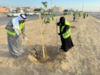 زراعة 1000 شجرة في مبادرة تطوعية بالخفجي - اليوم