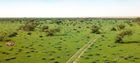 الاتحاد الدولي لصون الطبيعة يُكرم هيئة تطوير محمية الملك عبدالعزيز - إكس المحمية