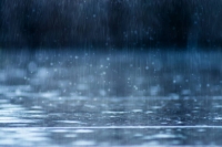 المدينة المنورة تسجل أعلى معدل لكميات هطول الأمطار في المملكة - مشاع إبداعي
