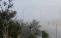الضباب يغطي أجواء محافظة طريف 