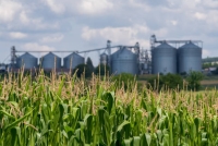بريطانيا تطلق سياسة زراعية جديدة لتعزيز الأمن الغذائي

