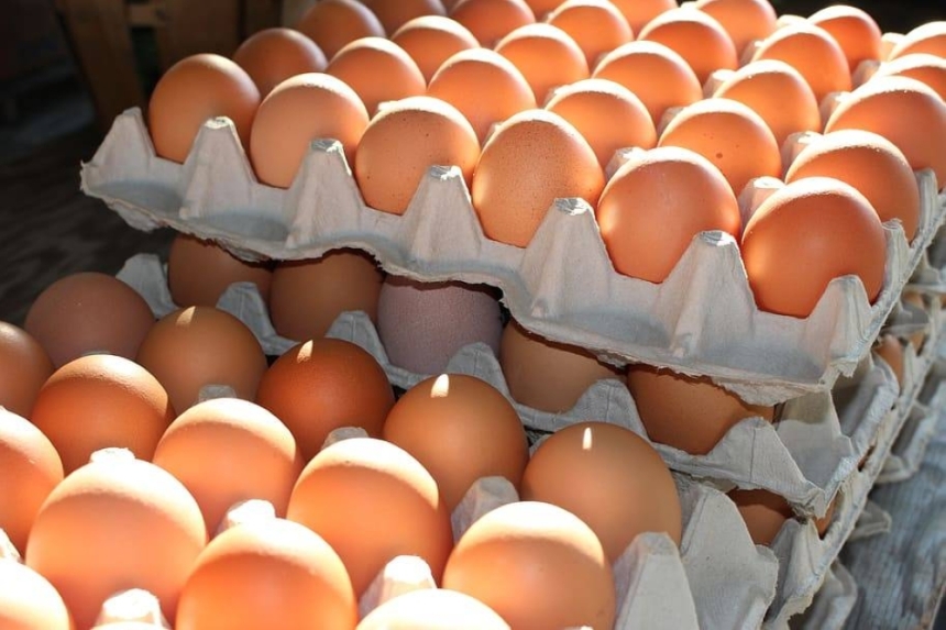 ارتفاع في سعر طبق البيض - مشاع إبداعي