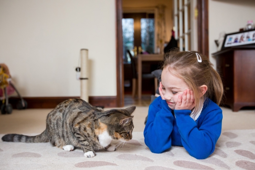  القطط يمكن أن تسهم في تعليم الأطفال الرحمة - Cats Protection