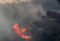 أشجار تحترق وسط انتشار حرائق الغابات في فينا ديل مار بتشيلي- رويترز