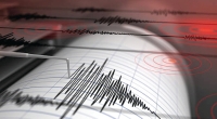 زلزال بقوة 5.3 درجة يضرب مالوكو في إندونيسيا - مشاع إبداعي