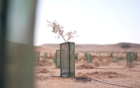 زراعة أكثر مليون شجرة بمحميتي الإمام عبدالعزيز والملك خالد الملكيتين- إكس هيئة تطوير محمية الإمام عبدالعزيز 