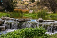 جمال الطبيعة في وادي الحمدة- واس