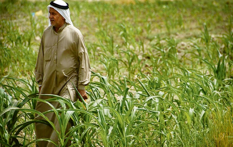 بي إن إن نيوز: السعودية تضع معيارًا للزراعة المستدامة حول العالم