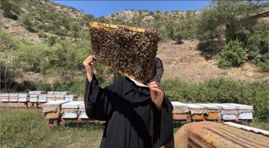 تطوير وتربية النحل وإنتاج العسل من أهم قطاعات ”ريف السعودية“ - اليوم