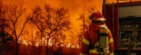 حرائق الغابات تدمر عددًا من المنازل في أستراليا- مشاع إبداعي